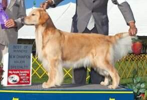 Delphi's Ever Faithful Penelope