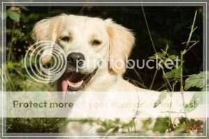 Gleen Mhor's Page