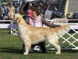 Funky Groove from Strawberry Goldens