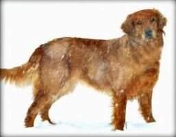 Muddy Meadows Nip N Zip Zula Muddy Meadows Nip N Zip Zula