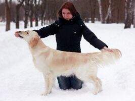 Alma (Nartsiss Samiy Luchshiy Droug x Ledi)