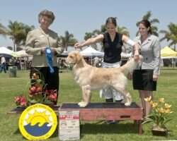 Kate's Coppercreek Liberty Bell PCD BN