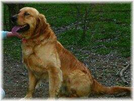Sunnyslope's Riley