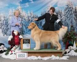 Ridgepond C'Mon Get Happy DN CCA