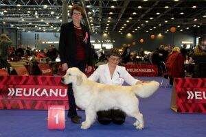 EW-14 Ch CH Club Ch Ashbury Highlander Helsinki winner 2013 EW-14 Ch CH Club Ch Ashbury Highlander Helsinki winner 2013
