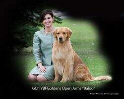 YBFGoldens Open Arms