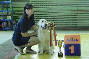 Rus,Club,2*RKF,Grand Ch, Rus J.Ch Riera Adjani Bukerosh