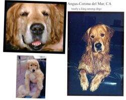 Meglens Geal Dochas