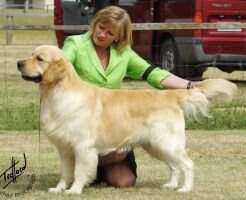 Supreme Champion Tweedwater Royal Fusilier