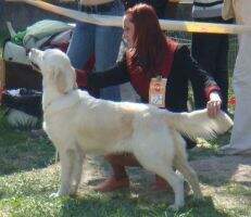 RUS RUS Unia Golden Mile