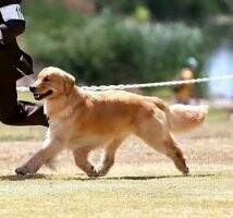 Masters Teko Time N Time Again