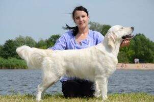 LT LT CH LV CH BY CH CACIB Linksmoji Lota Basteta FT duck B (II) level I prize