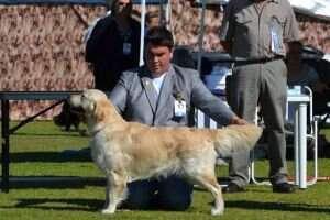 SA CH Son of Noel at Gavalat