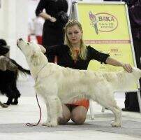 J Ch Rus, Ch Rus Malet Park Olimpik Dream