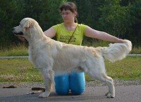 Galand Boy