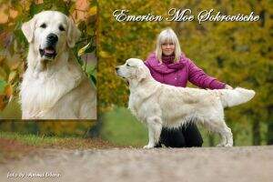 Emerion Moe Sokrovische
