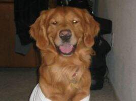 Barker's Marley Barker's Marley