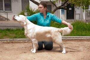 JChUKR Velvet Charm Cover Girl