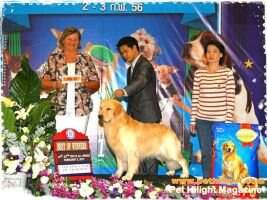 TH.CH. Delavega Mission Impossible Of Bestever