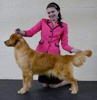 Natl UKC CH GSR's Taste The Rainbow CGCA CGCU