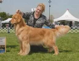 BOSS GCH/U-CH Zumbro TB Make Mine a Double CAX DJ SCN SIN BOSS