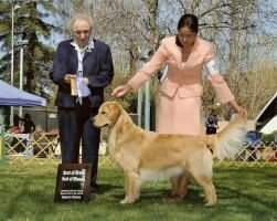 Maison D' Etoiles Le Chien Brilliant