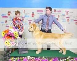 Ch. Puppy Jr. Morgana Merlin's Oliver's Kind