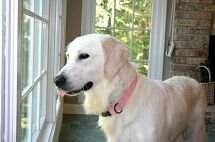 Chloe Of Family House