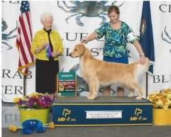 Apollo-Firestar's Puppy Galore