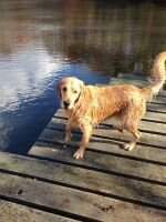Kurzeme Cooper Redford Colwell Of Woodville