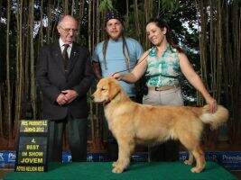Chasse E. Ivete Chasse E. Ivete
