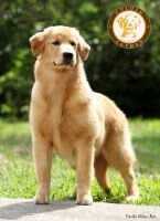 CHASSE F YONIE