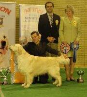 Sunny Rain de Ria Vela (1st Exc in Yearling Class at Crufts'13) Sunny Rain de Ria Vela (1st Exc in Yearling Class at Crufts'13)