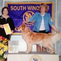 Willogold Stars Come Out MBISS, BOSS