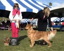 24kt Seasons Don'T Stop Believ'N