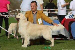 Complement QUIDAM