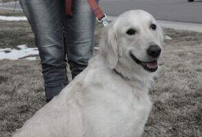 Nelli Daisy Mason