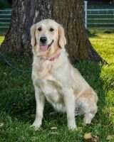 HnrCH Sky Is The Limit For Lexie Zuligoldens