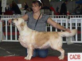 Non-Stop Miss Marimba