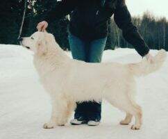 Alaska's Rose Britagne