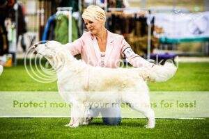 Rocksett Sunny Hypnotiq Breeze
