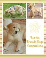 Karma Kneads Sage Companions