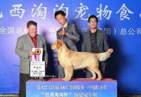 goldenleader call for hebe