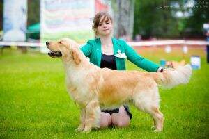 JChRus, NRC Karvin Pure Gold