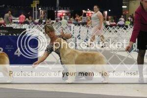 Stonebrook Chasing A Dream Stonebrook Chasing A Dream