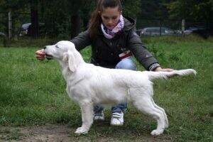 Riera History And Love