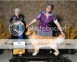 Brianne's Summer Olympic Games