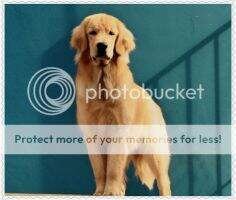 Espinhaco Goldens Elza
