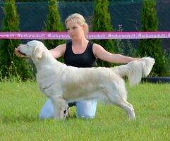 Ch.PL Once in a Lifetime Milerro FCI