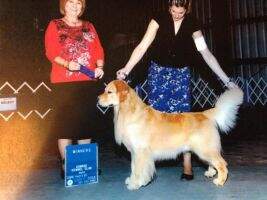 AKC & UKC MWM Knock-Out